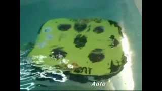 Remotely Operated Vehicle Rov Rovingbat