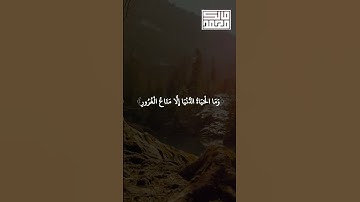 كل نفس ذائقة الموت  وإنما توفون أجوركم يوم القيامة #تلاوة_خاشعة #المصحف #قرآن #راحة_نفسية