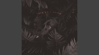 Video thumbnail of "Old Salt Union - Hurt Somebody"