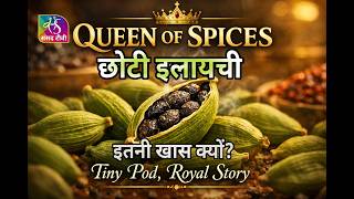 The Food Show: सोने से महंगी इलायची India’s Queen Of Spices The Flavours Of India Ep - 04