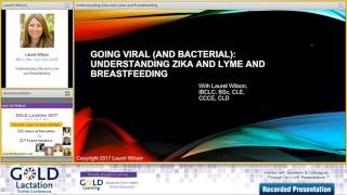 Interview With Laurel Wilson For Our 2017 D Lactation Online Conference