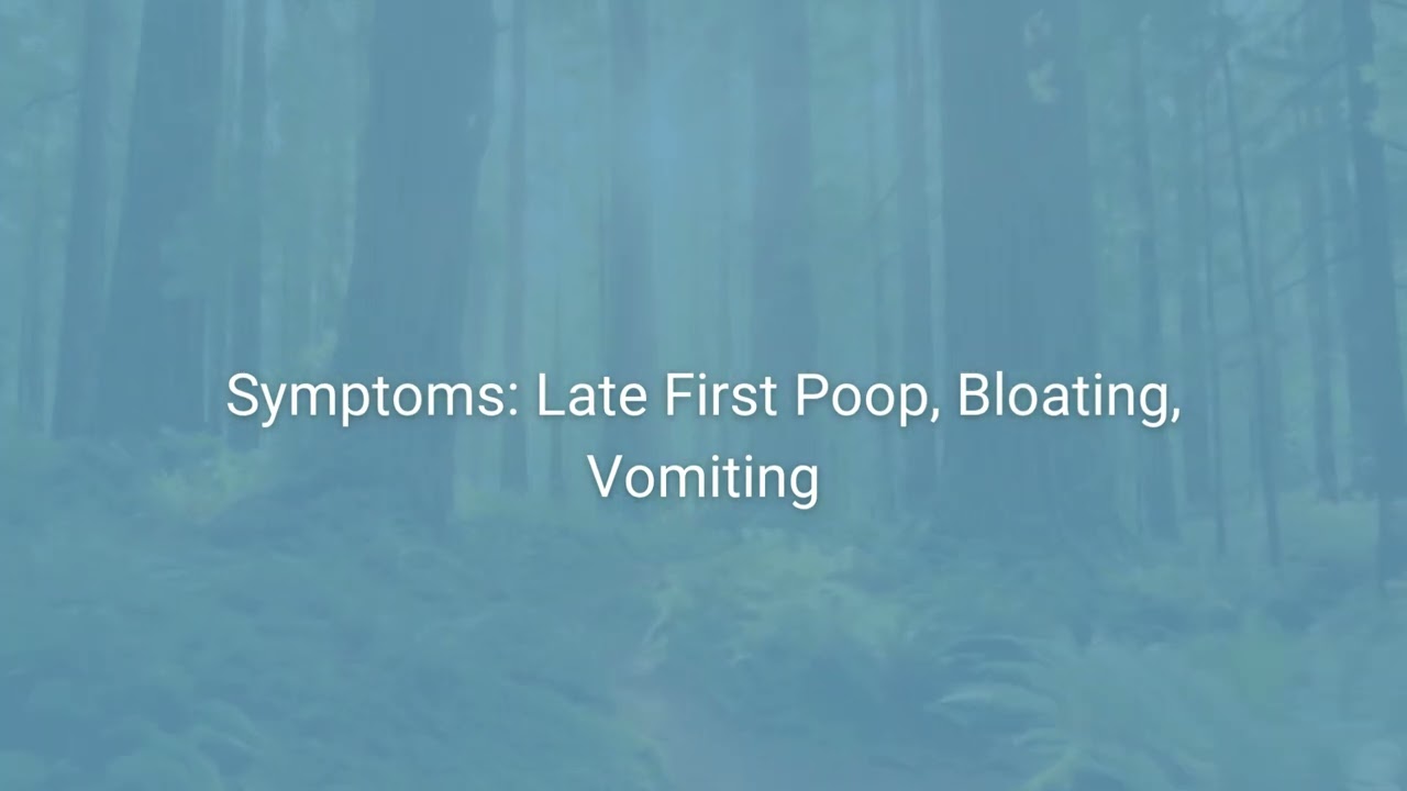 Hirschsprung Disease Explained: A Parent's Guide to Symptoms, Surgery, and Hope