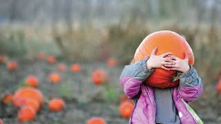 This Week in Dakota County 10/25/19