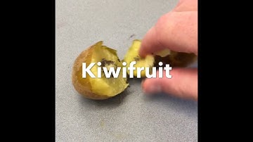 MorphoWave Contactless Biometric Reader - Testing to the Extreme!!!