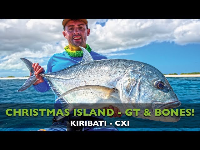 Land crab caught a bone fish, Christmas island, Kiribati Stock