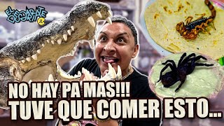 Comí de TODO en el mercado más EXÓTICO de México 😬 I JJ el Comediante - El Desgarriate