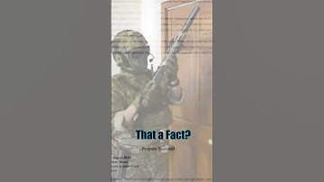 They Asked For it. And I Have Delivered. #callofduty #character #funny