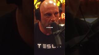 Celebrity GREAT EXPECTATIONS - Joe Rogan 🏆 #motivation #inspiration #mindset #quotes #success #jre #podcast Wealth