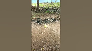 Skeleton effect 3 |#shorts