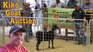 Kiko Goat Auction | Green Country Invitational 2022