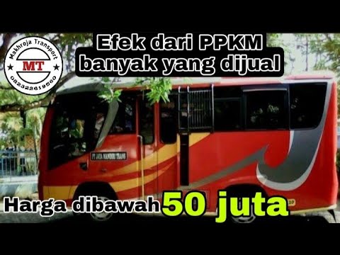 Harga Mikro bus engkel murah meriah harga tidak sampai 50 juta