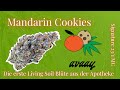 Mandarin cookies 23 thc der erste living soil strain aus der apotheke