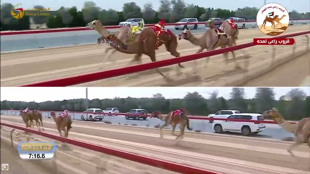 الشوط 1 ..قرطبة لـ حمد راشد حمد غدير الكتبي 12:39:4( تمهيدي المرموم 2026 )