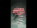 へやで踊ろう流しながらオルブライトノット結んでみた。