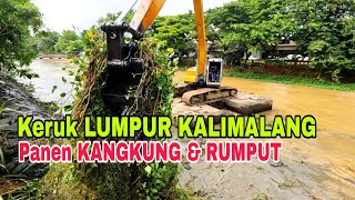 Download Lagu keruk lumpur kalimalang panen kangkung \u0026 rumput, jika di biarkan bisa memperkecil aliran kali malang MP3