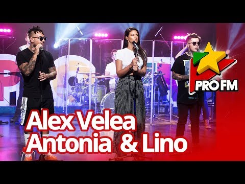 Alex Velea Feat. Antonia x Lino Sahara | Profm Live Session