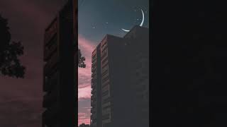 The young professionals - Video Game (s l o w e d)