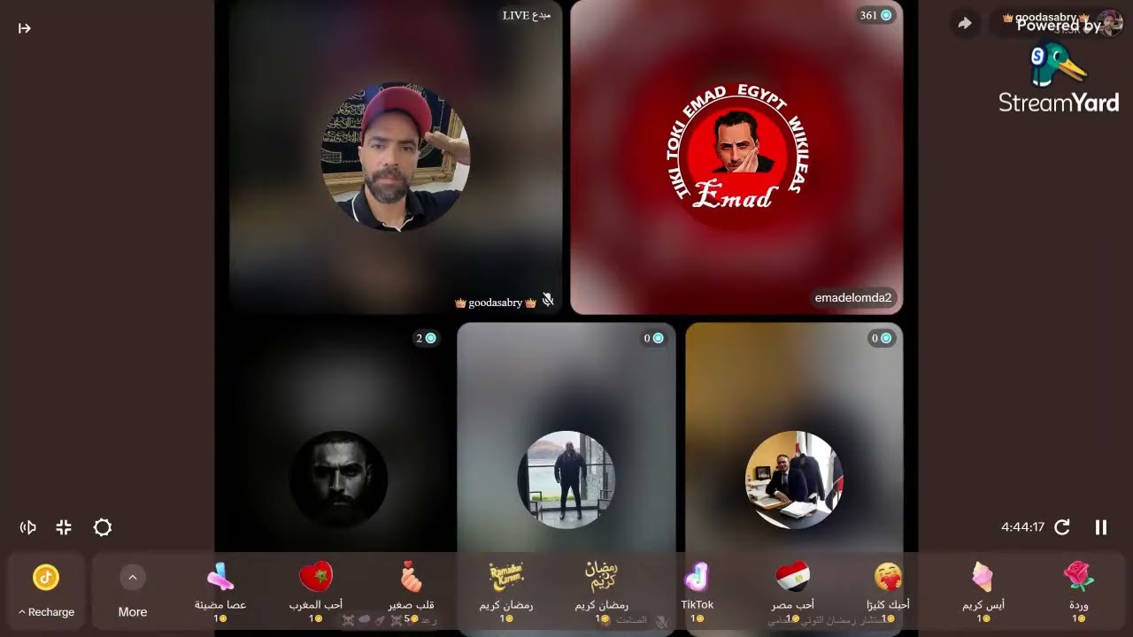 مباشر جوده صبري وعماد العمدة دفعا عن عمر والمحبه ضد وائل شطا والتيك توك 