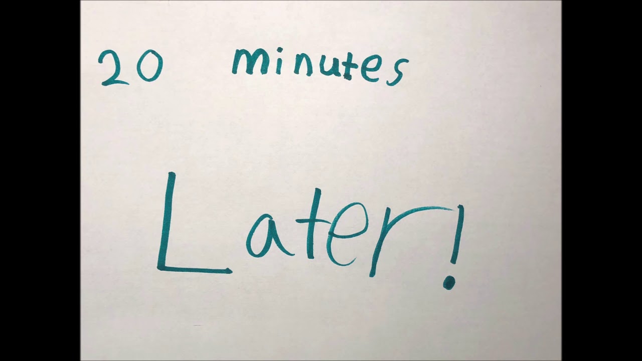 The Housecats vs. The Leopard Claymation Movie (Arts and Smarts, Inc.)