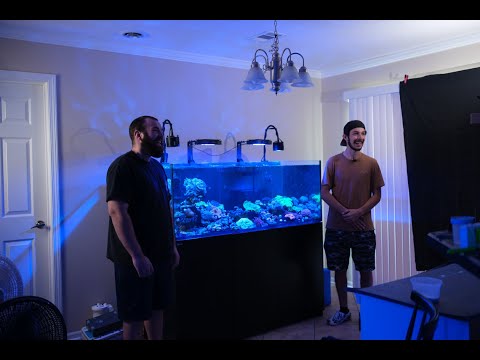 Bayou Reefkeeping Tank