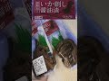 セブンイレブンの函館加工のいか刺し醤油漬を切りました。　#セブンイレブン #函館 #いか刺し #醤油漬
