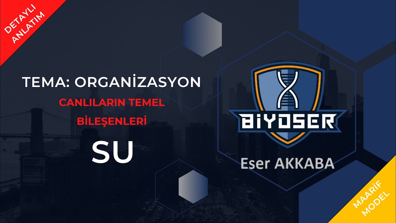 SU | İNORGANİK MADDELER - CANLILARIN TEMEL BİLEŞENLERİ | 9. Sınıf ve TYT Biyoloji