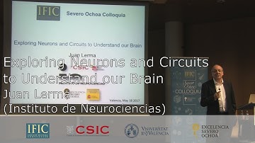 Exploring Neurons and Circuits to Understand our Brain