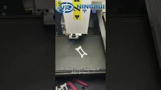 Discover precision and efficiency with Ningrui's CCD visual bonding machines!