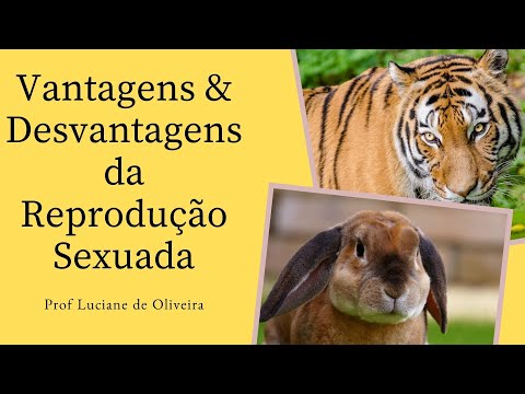 REPRODUÇÃO SEXUADA - VANTAGENS X DESVANTAGENS | REPRODUCTION - GENETIC VARIABILITY