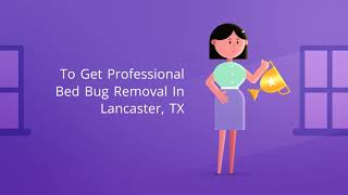 OCP Bed Bug Exterminator Lancaster, TX - Bee Removal