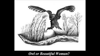 Ambiguous Illusions. WHAT DO YOU SEE?