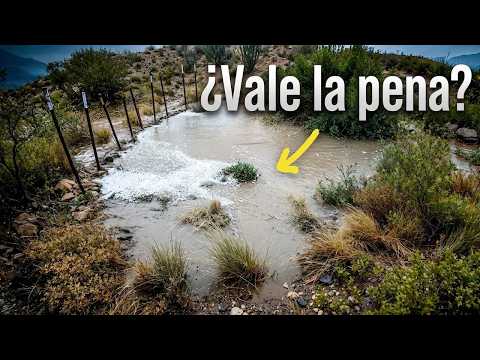 Construí presas de castor en el desierto 5 veces más rápido. ¿Valen la pena?