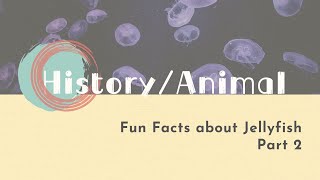 【LIVE互動英語 : 20230112】動物趣聞：水母趣聞 2