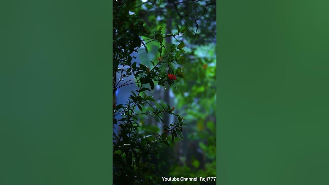 Hi Nanna Silent Conversation Ringtone
