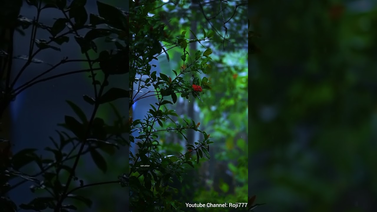 Hi Nanna Silent Conversation Ringtone