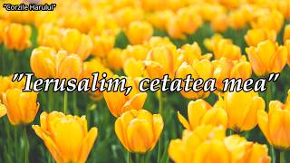 Ierusalim, Cetatea Mea Nou 2026