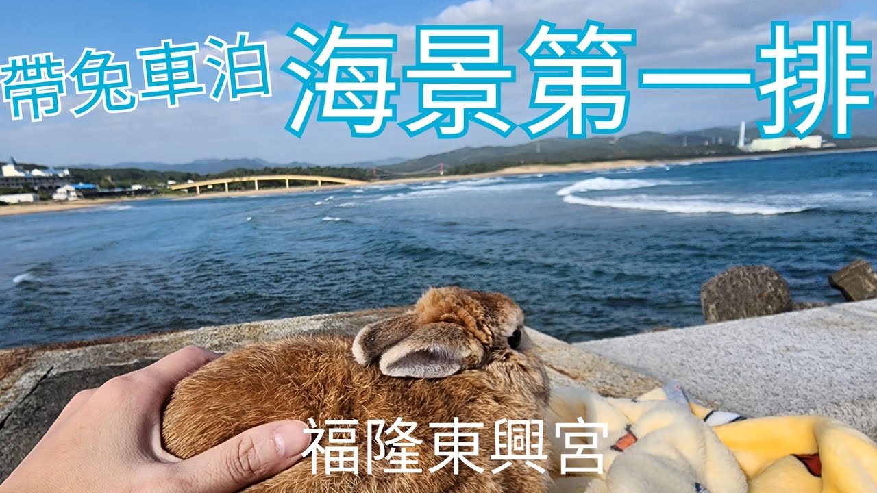 [帶兔車泊]福隆東興宮X海景第一排~
