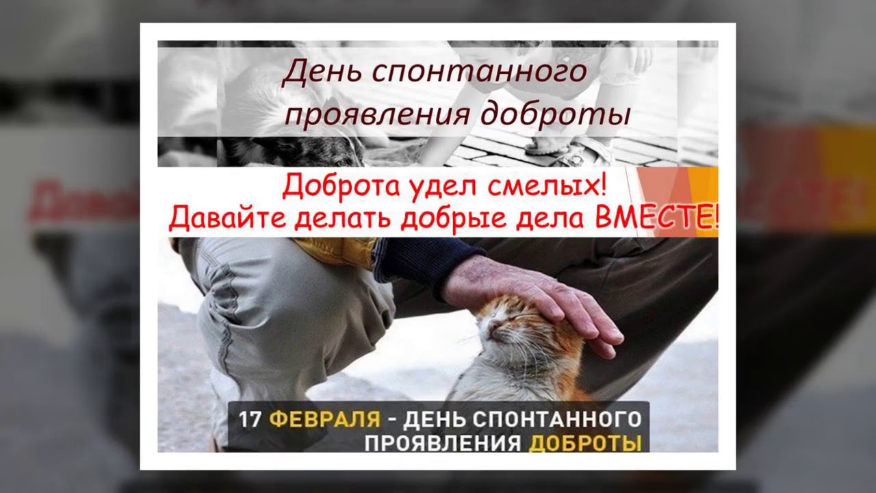 Фото день спонтанного проявления доброты Фото день спонтанного проявления доброты