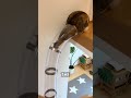 الأنبوب ضيق جد ا بحيث لا يمكن تحريكه