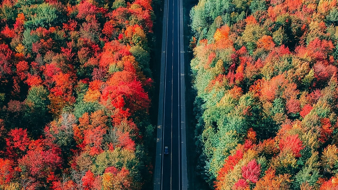 Autumn Background Instrumental - Sad Chill Beat [ FREE NO COPYRIGHT MUSIC ] Justhea - Closer