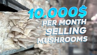 10.000$ Per Month Selling Mushrooms