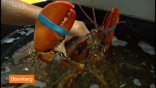 How Two Guys Built a Lobster Empire screenshot 1