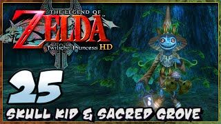 WORST PUZZLE! | The Legend of Zelda: Twilight Princess HD - Part 25
