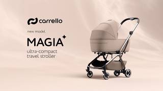 Universal stroller Magia 2 in 1 CRL-6555