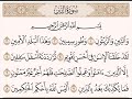 سورة التين كاملة للقارئ الشيخ محمد الفقيه 