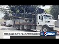 Grant Street closed in Bettendorf after truck catches tree branches, hitting passing car