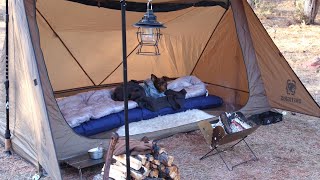 Winter Camping, Solo Overnight with My Dog |  Cosy ASMR