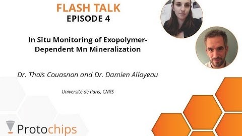 FLASH TALKS: EP #4 - In situ Monitoring of Exopolymer-dependent Mn Mineralization