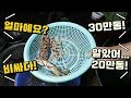 흥정을 잘하면 가격이 미친듯이 내려가는 베트남 해산물 야시장!! 싱싱한 해산물을 이 가격에??