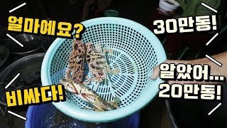 흥정을 잘하면 가격이 미친듯이 내려가는 베트남 해산물 야시장!! 싱싱한 해산물을 이 가격에??